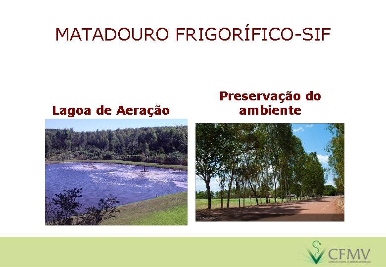 MATADOURO FRIGORÍFICO-SIF Lagoa de Aeração Preservação do ambiente 