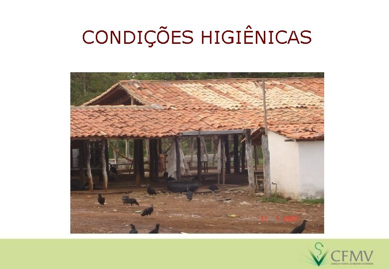 CONDIÇÕES HIGIÊNICAS 