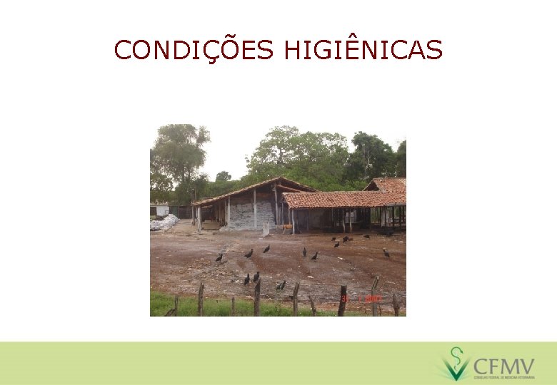 CONDIÇÕES HIGIÊNICAS 