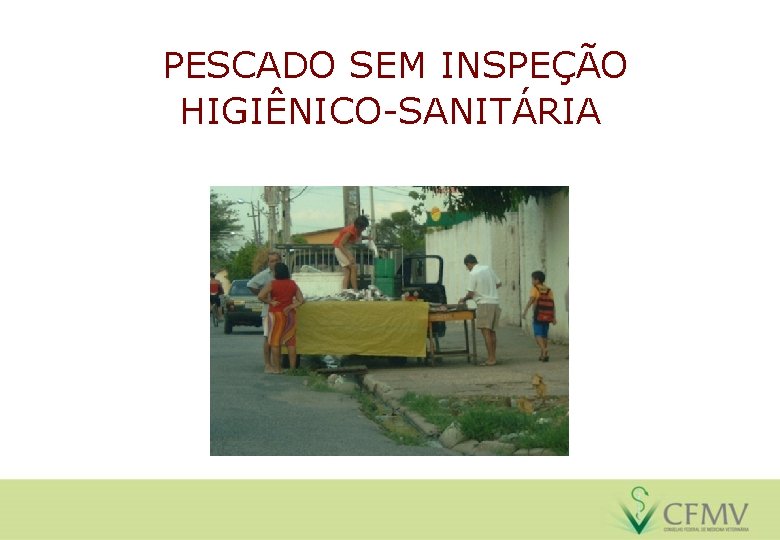 PESCADO SEM INSPEÇÃO HIGIÊNICO-SANITÁRIA 