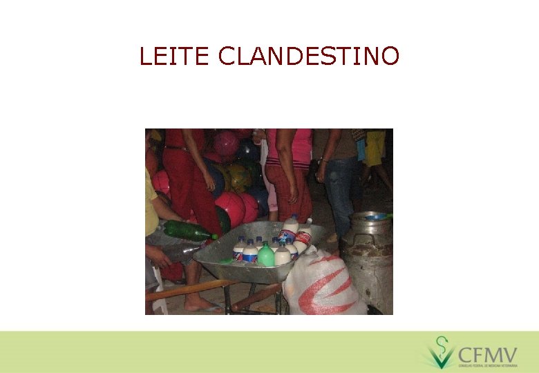 LEITE CLANDESTINO 