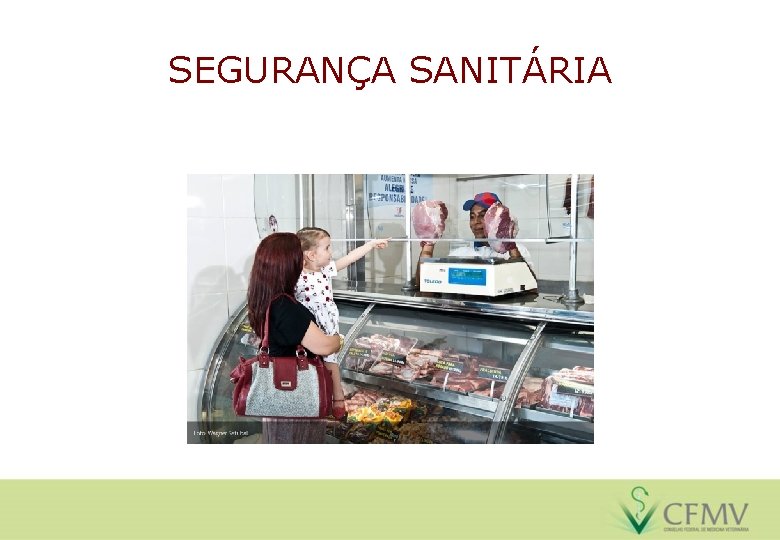 SEGURANÇA SANITÁRIA 