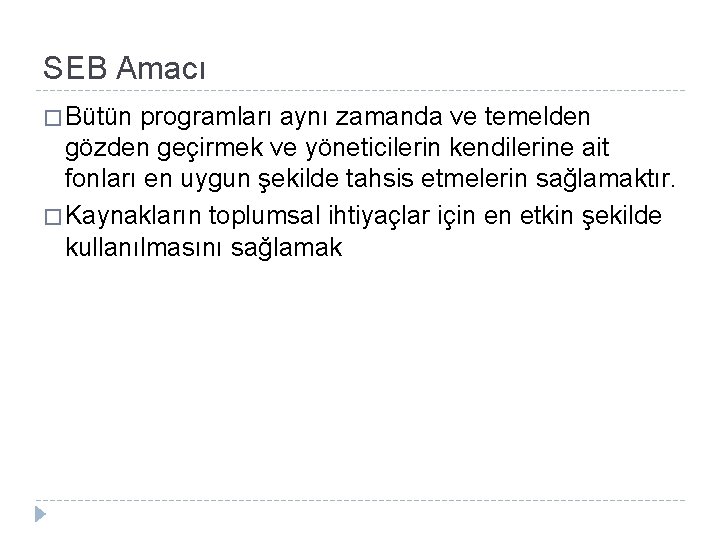 SEB Amacı � Bütün programları aynı zamanda ve temelden gözden geçirmek ve yöneticilerin kendilerine