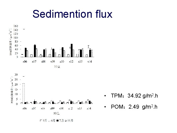 Sedimention flux • TPM： 34. 92 g/m 2. h • POM： 2. 49 g/m