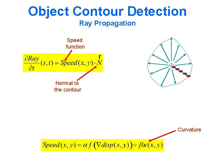 Object Contour Detection Ray Propagation Speed function Normal to the contour Curvature 