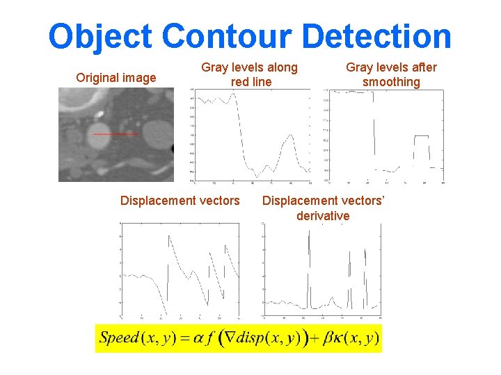 Object Contour Detection Original image Gray levels along red line Displacement vectors Gray levels
