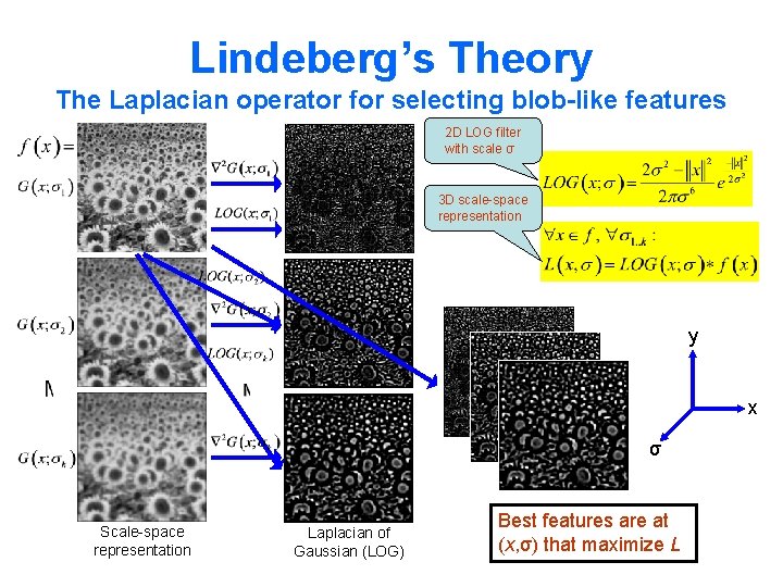 Lindeberg’s Theory The Laplacian operator for selecting blob-like features 2 D LOG filter with