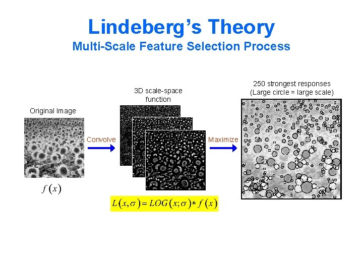 Lindeberg’s Theory Multi-Scale Feature Selection Process 250 strongest responses (Large circle = large scale)