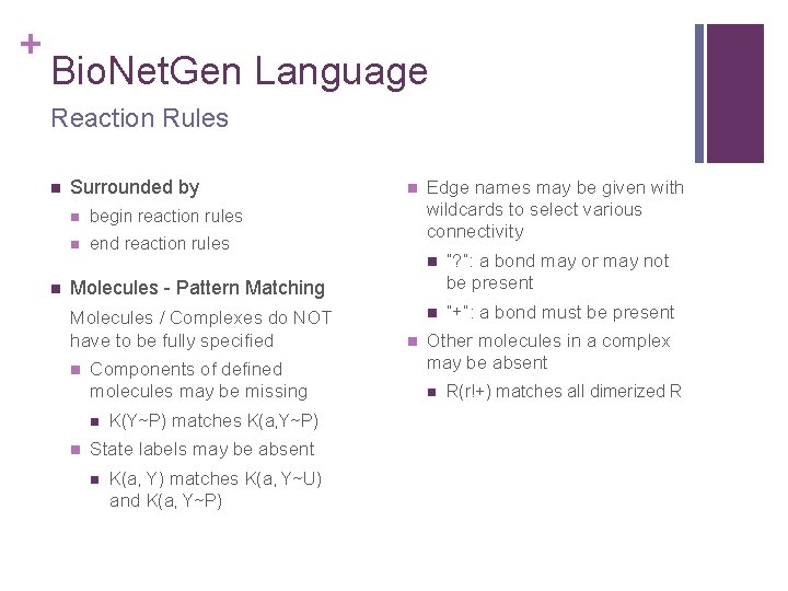 + Bio. Net. Gen Language Reaction Rules n n Surrounded by n begin reaction