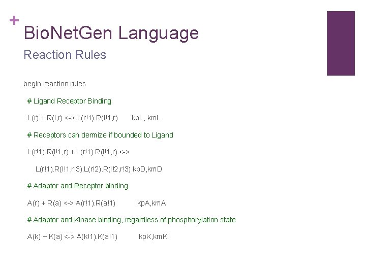 + Bio. Net. Gen Language Reaction Rules begin reaction rules # Ligand Receptor Binding