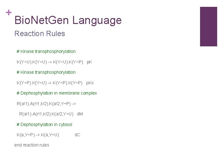 + Bio. Net. Gen Language Reaction Rules # Kinase transphorylation K(Y~U) -> K(Y~U). K(Y~P)