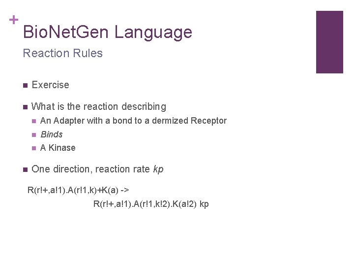 + Bio. Net. Gen Language Reaction Rules n Exercise n What is the reaction