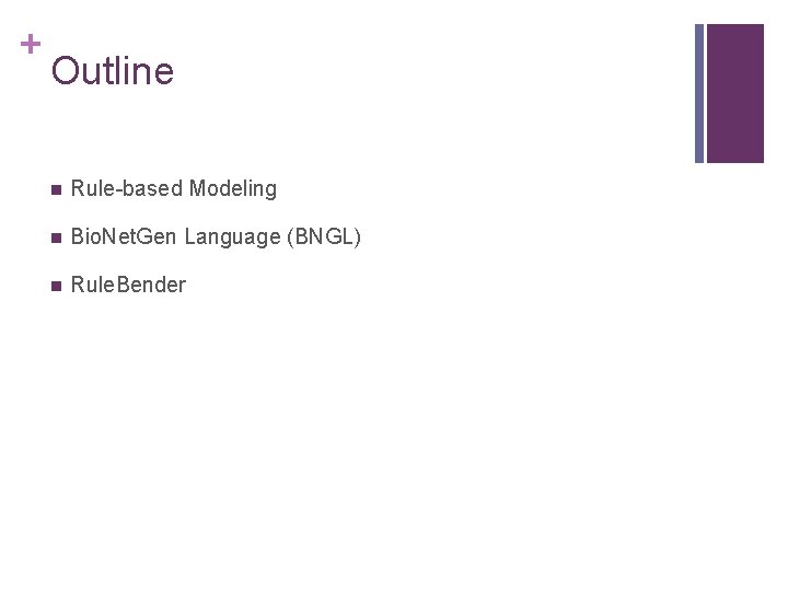 + Outline n Rule-based Modeling n Bio. Net. Gen Language (BNGL) n Rule. Bender