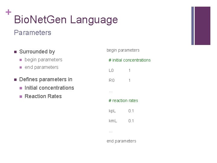 + Bio. Net. Gen Language Parameters n n Surrounded by n begin parameters n