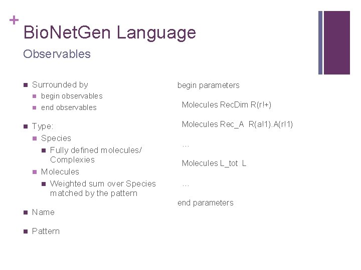 + Bio. Net. Gen Language Observables n Surrounded by n n n begin observables