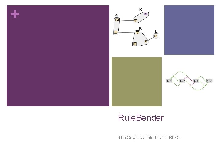 + Rule. Bender The Graphical Interface of BNGL 