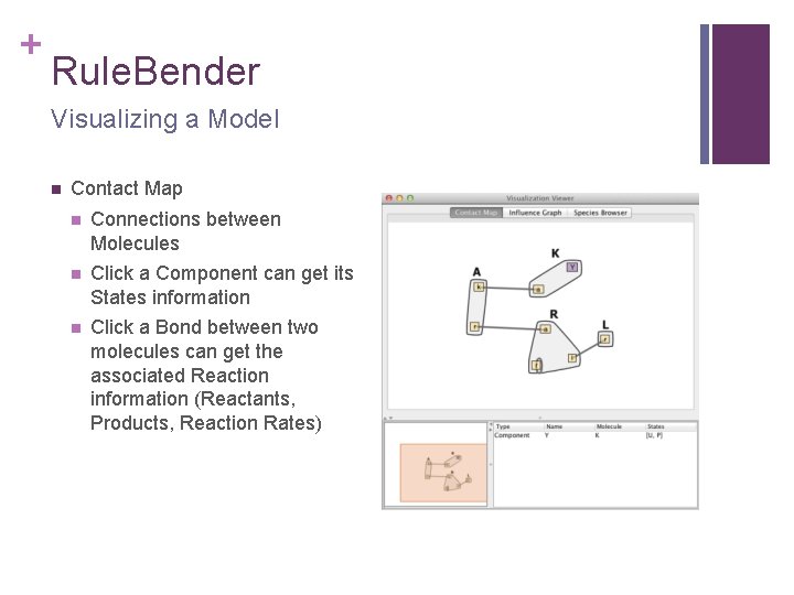 + Rule. Bender Visualizing a Model n Contact Map n Connections between Molecules n