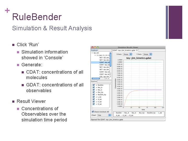 + Rule. Bender Simulation & Result Analysis n n Click ‘Run’ n Simulation information