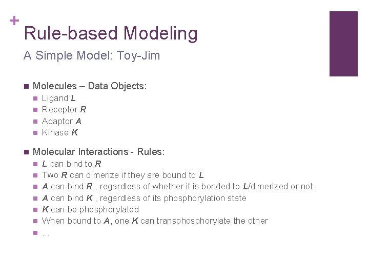 + Rule-based Modeling A Simple Model: Toy-Jim n Molecules – Data Objects: n n