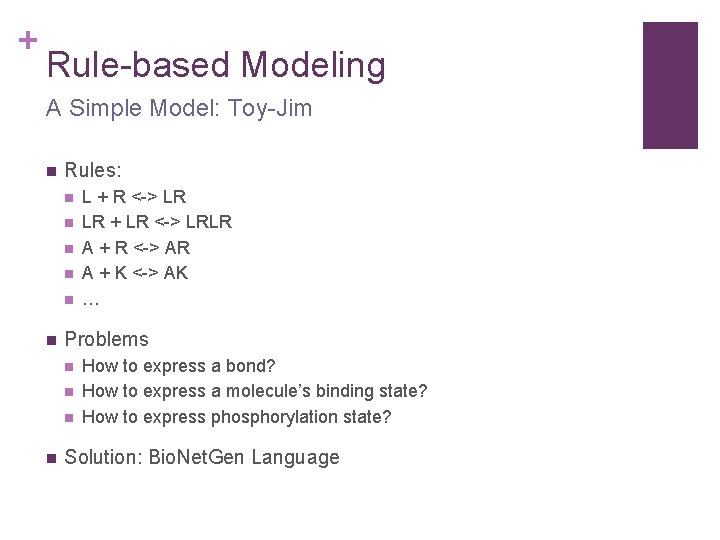 + Rule-based Modeling A Simple Model: Toy-Jim n Rules: n n n Problems n