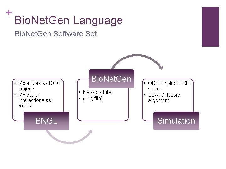 + Bio. Net. Gen Language Bio. Net. Gen Software Set • Molecules as Data