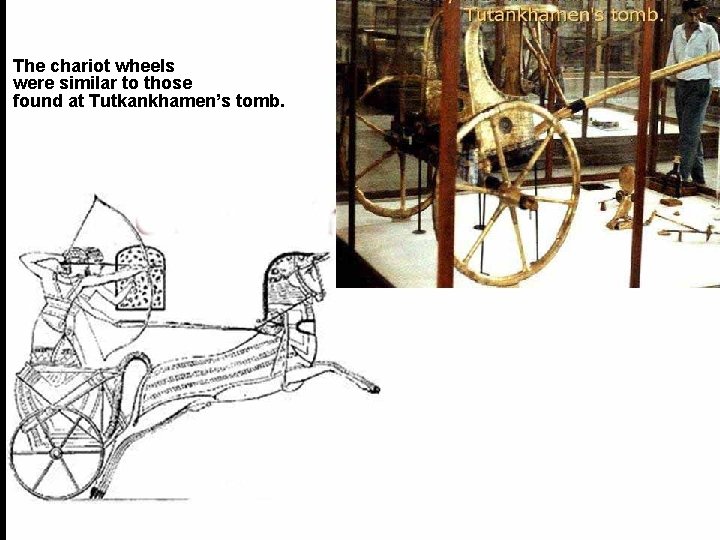 The chariot wheels were similar to those found at Tutkankhamen’s tomb. 