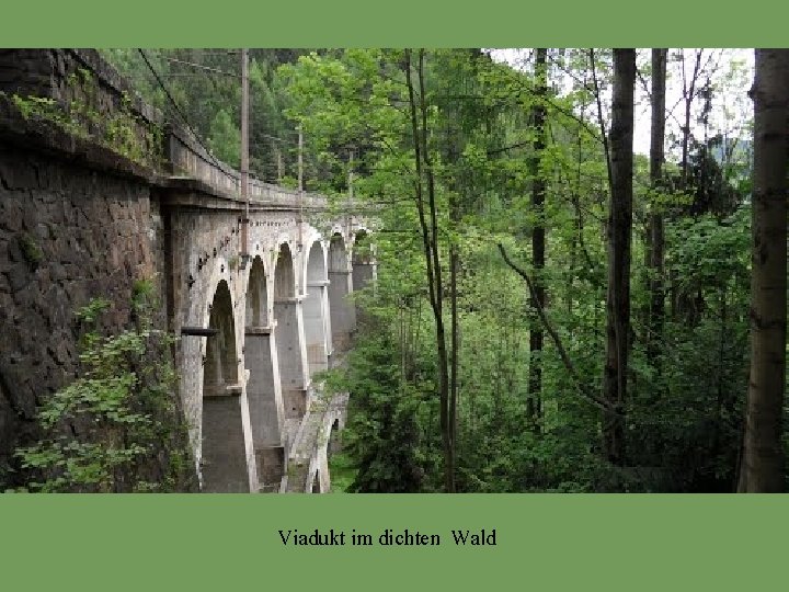 Viadukt im dichten Wald 