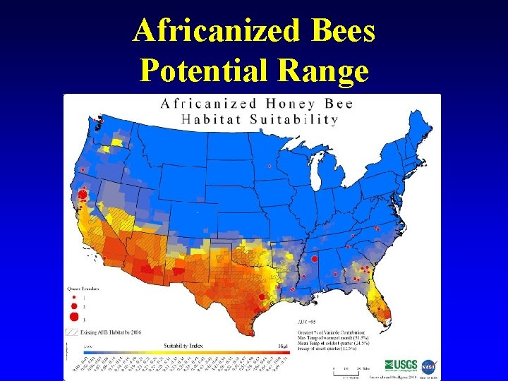 Africanized Bees Potential Range 
