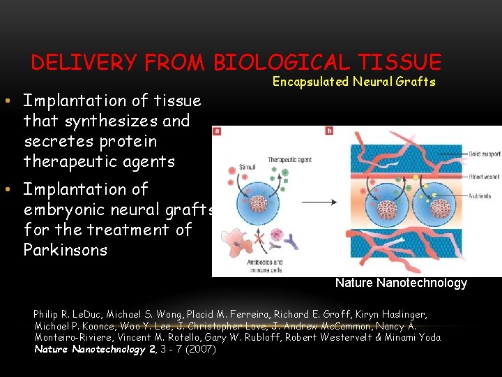 DELIVERY FROM BIOLOGICAL TISSUE • Implantation of tissue that synthesizes and secretes protein therapeutic