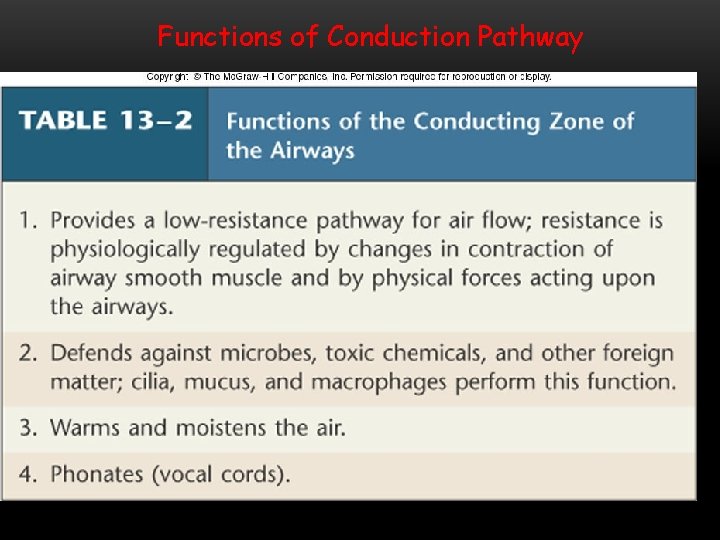 Functions of Conduction Pathway 