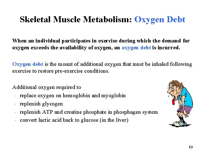 Skeletal Muscle Metabolism: Oxygen Debt When an individual participates in exercise during which the