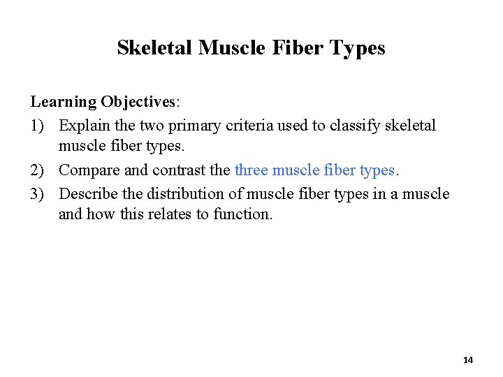 Skeletal Muscle Fiber Types Learning Objectives: 1) Explain the two primary criteria used to