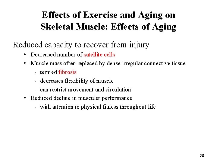 Effects of Exercise and Aging on Skeletal Muscle: Effects of Aging Reduced capacity to