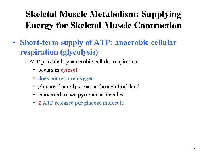 Skeletal Muscle Metabolism: Supplying Energy for Skeletal Muscle Contraction • Short-term supply of ATP: