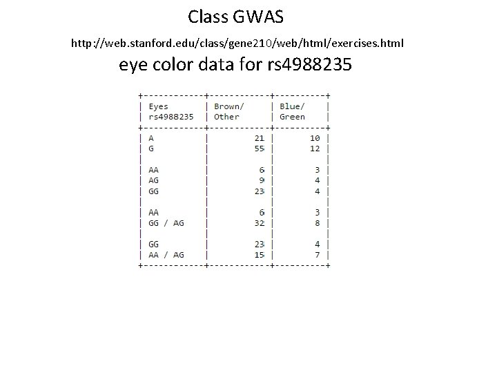 Class GWAS http: //web. stanford. edu/class/gene 210/web/html/exercises. html eye color data for rs 4988235