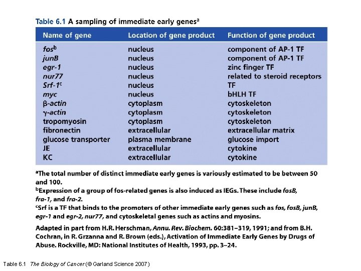 Table 6. 1 The Biology of Cancer (© Garland Science 2007) 