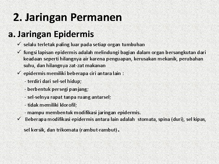 2. Jaringan Permanen a. Jaringan Epidermis ü selalu terletak paling luar pada setiap organ