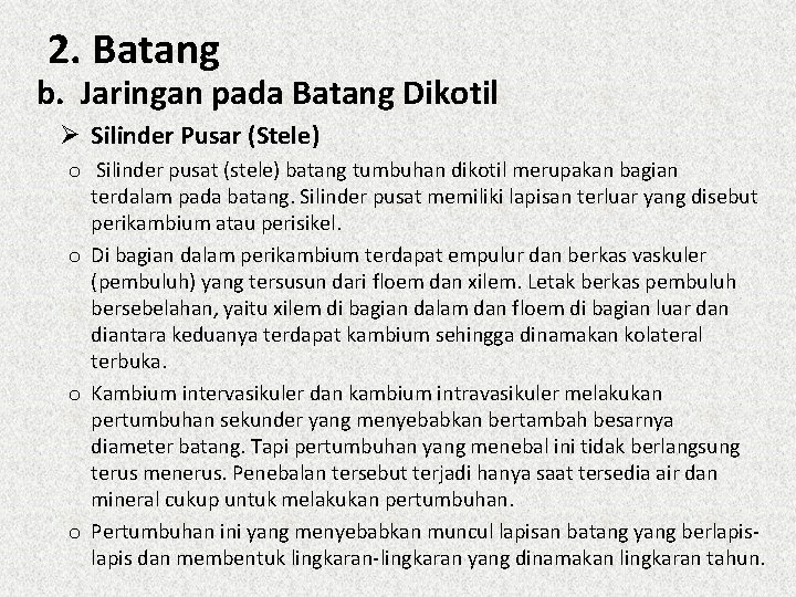 2. Batang b. Jaringan pada Batang Dikotil Ø Silinder Pusar (Stele) o Silinder pusat