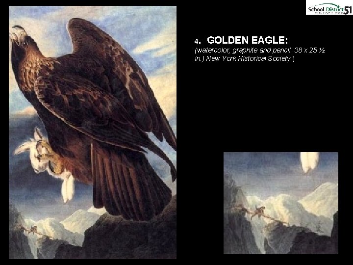 4. GOLDEN EAGLE: (watercolor, graphite and pencil. 38 x 25 ½ in. ) New