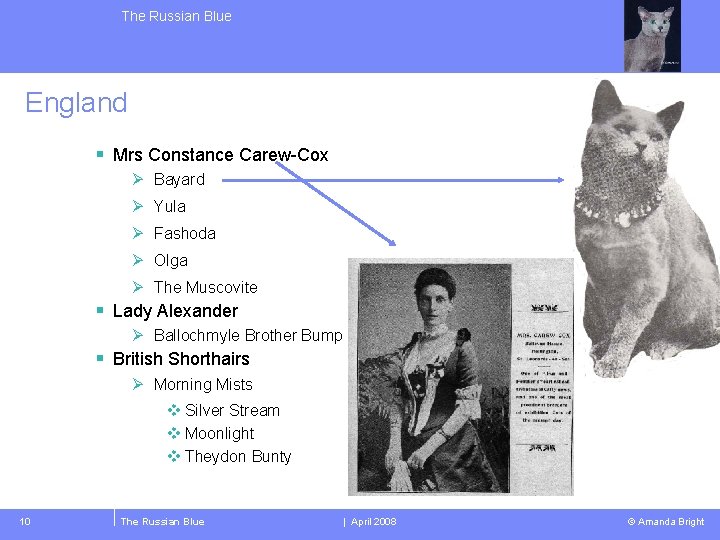 The Russian Blue England § Mrs Constance Carew-Cox Ø Bayard Ø Yula Ø Fashoda