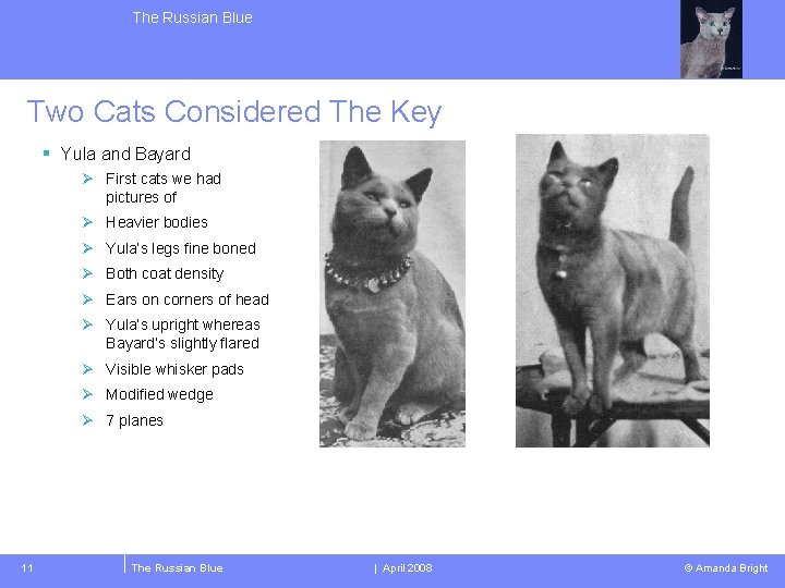 The Russian Blue Two Cats Considered The Key § Yula and Bayard Ø First