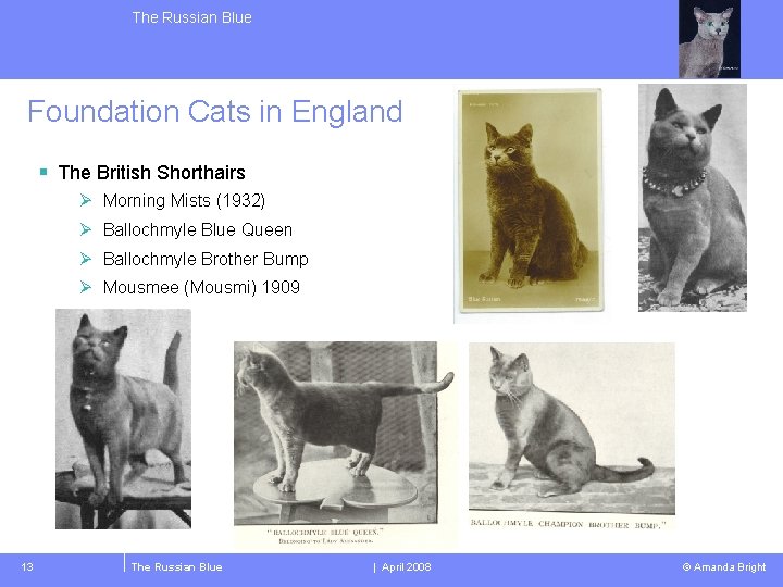 The Russian Blue Foundation Cats in England § The British Shorthairs Ø Morning Mists