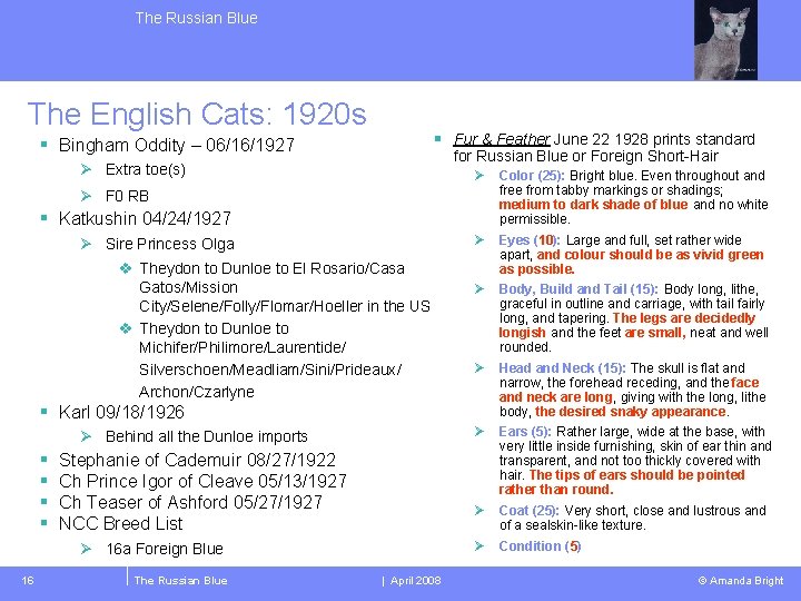 The Russian Blue The English Cats: 1920 s § Fur & Feather June 22