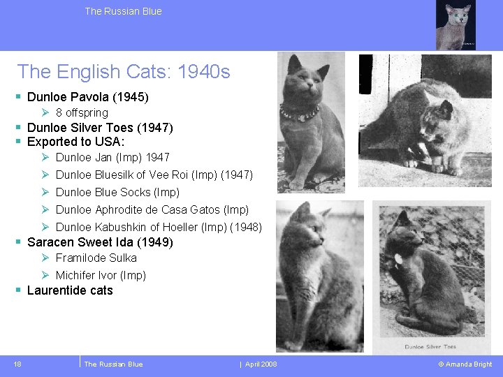 The Russian Blue The English Cats: 1940 s § Dunloe Pavola (1945) Ø 8