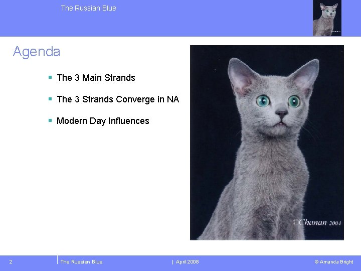 The Russian Blue Agenda § The 3 Main Strands § The 3 Strands Converge
