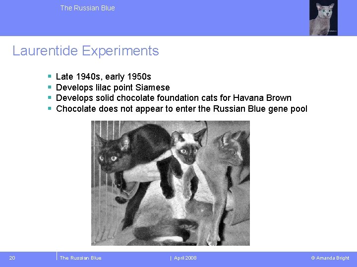 The Russian Blue Laurentide Experiments § § 20 Late 1940 s, early 1950 s