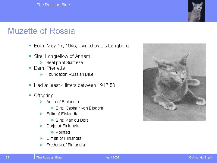 The Russian Blue Muzette of Rossia § Born: May 17, 1945; owned by Lis