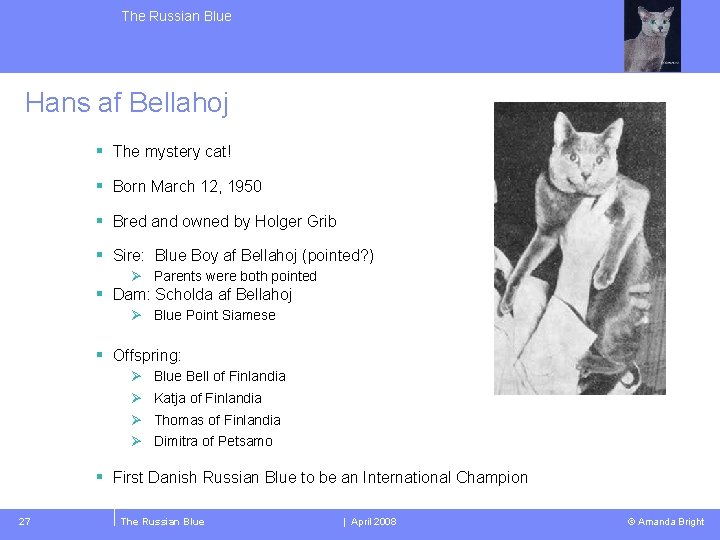 The Russian Blue Hans af Bellahoj § The mystery cat! § Born March 12,