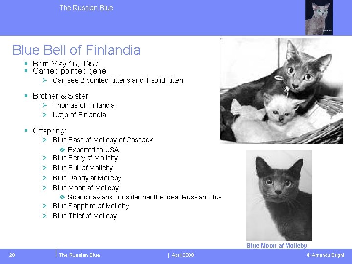 The Russian Blue Bell of Finlandia § Born May 16, 1957 § Carried pointed