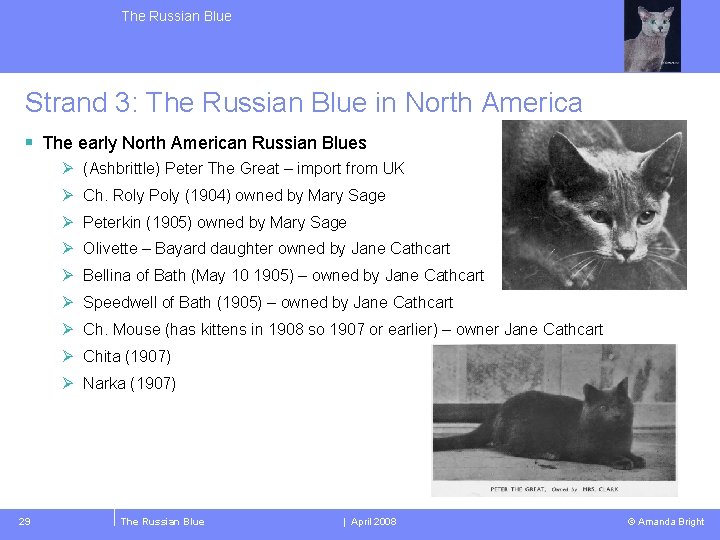 The Russian Blue Strand 3: The Russian Blue in North America § The early